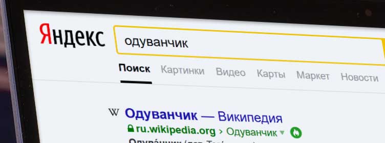 Поисковая оптимизация (SEO) в Уфе